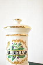 Load image into Gallery viewer, Pair of Apothecary Jars