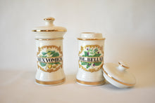 Load image into Gallery viewer, Pair of Apothecary Jars
