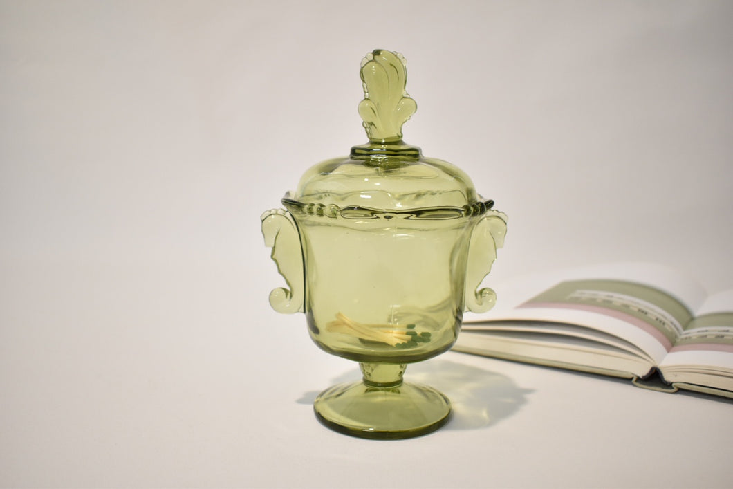 Green Glass Stasher with Seahorse Handles