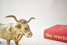 Load image into Gallery viewer, Solid Brass Longhorn Steer
